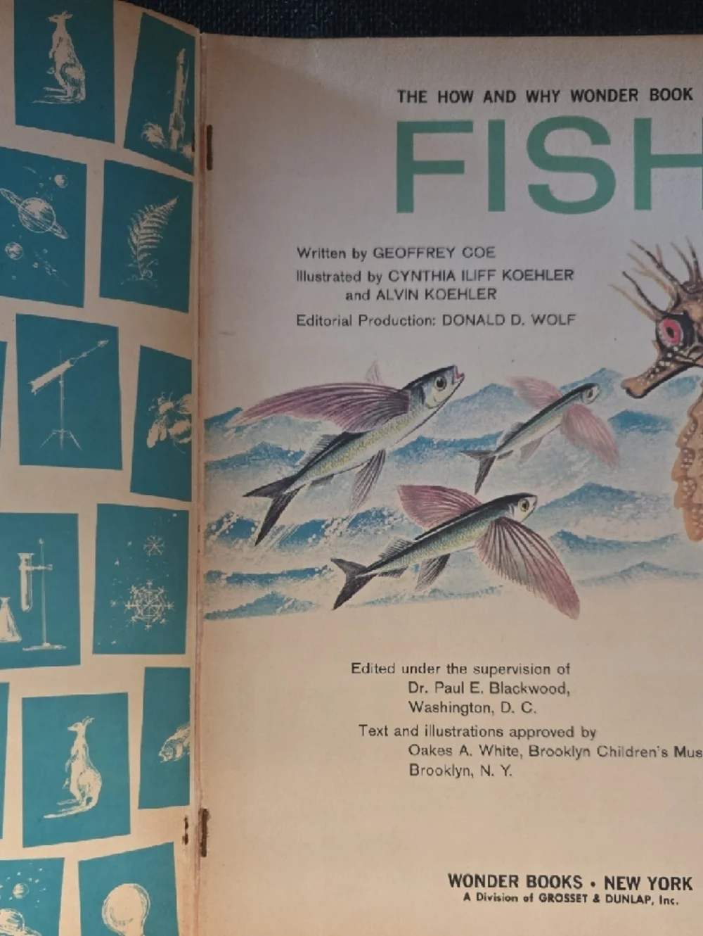 Vintage How and Why Wonder Book of Fish Children’s Science Book
